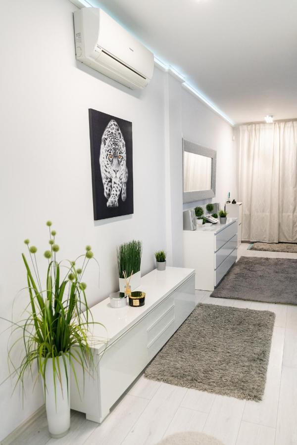 Castle Apartment In The Center บูดาเปสต์ ภายนอก รูปภาพ